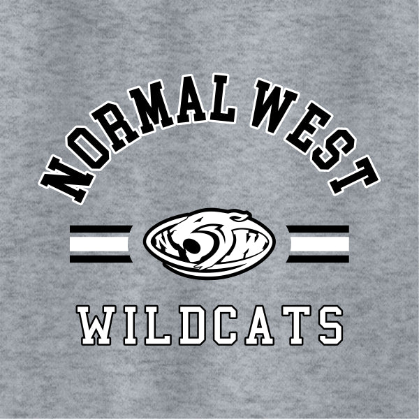 classic traditional school pride design with collegiate lettering font style with wildcat mascot