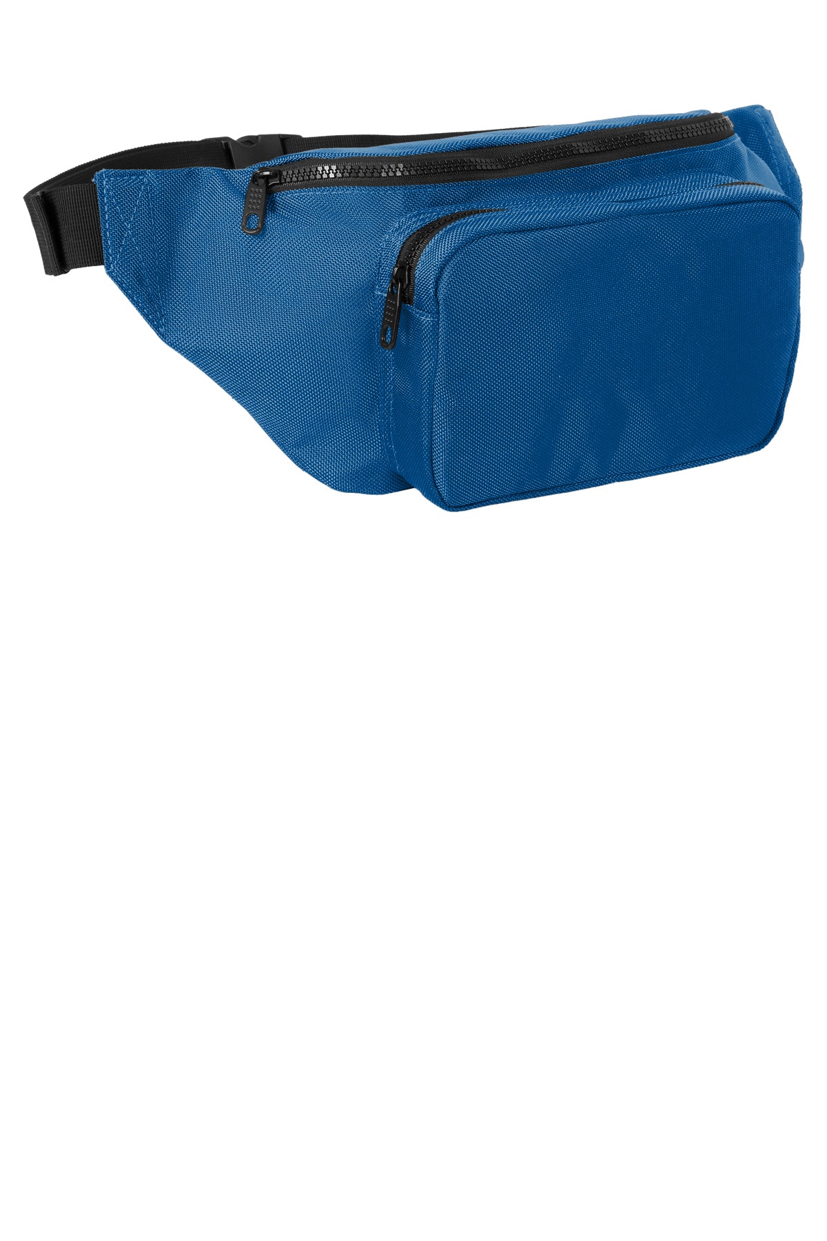 Large Hip Pack (8481176289557)