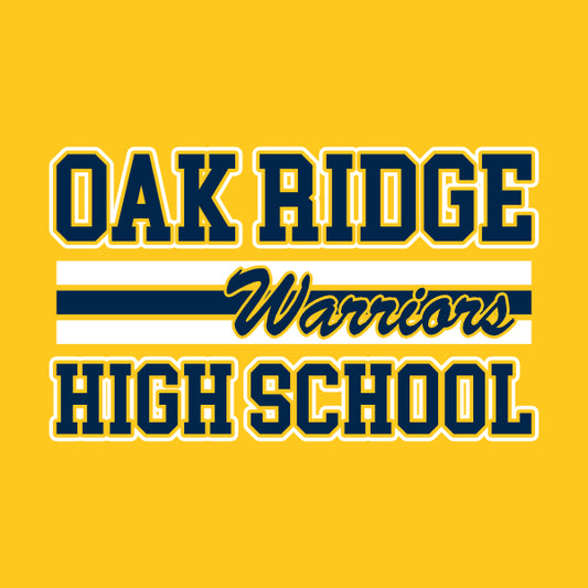 A front screen print design for school spiritwear, featuring the school name, mascot, and colors.