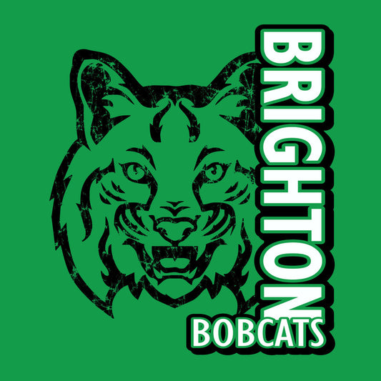 A graphic design featuring a stylized, cartoon-like mascot wearing a green and white uniform, with the text 'Brighton Bounty Cats' above it.